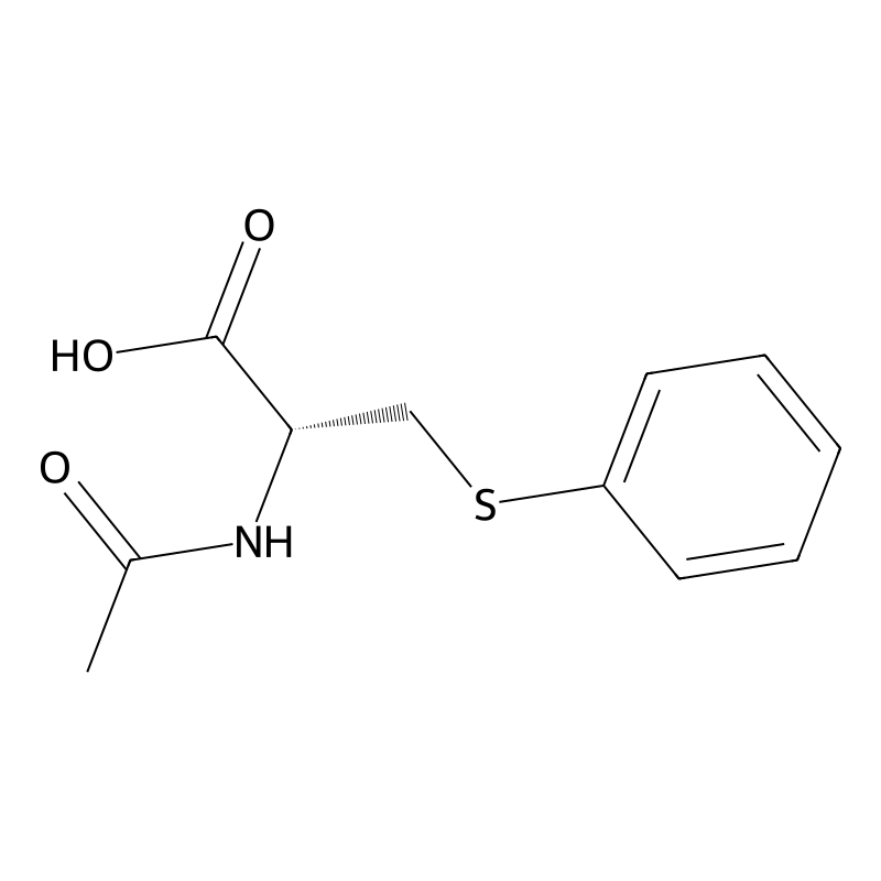 S-Phenylmercapturic acid