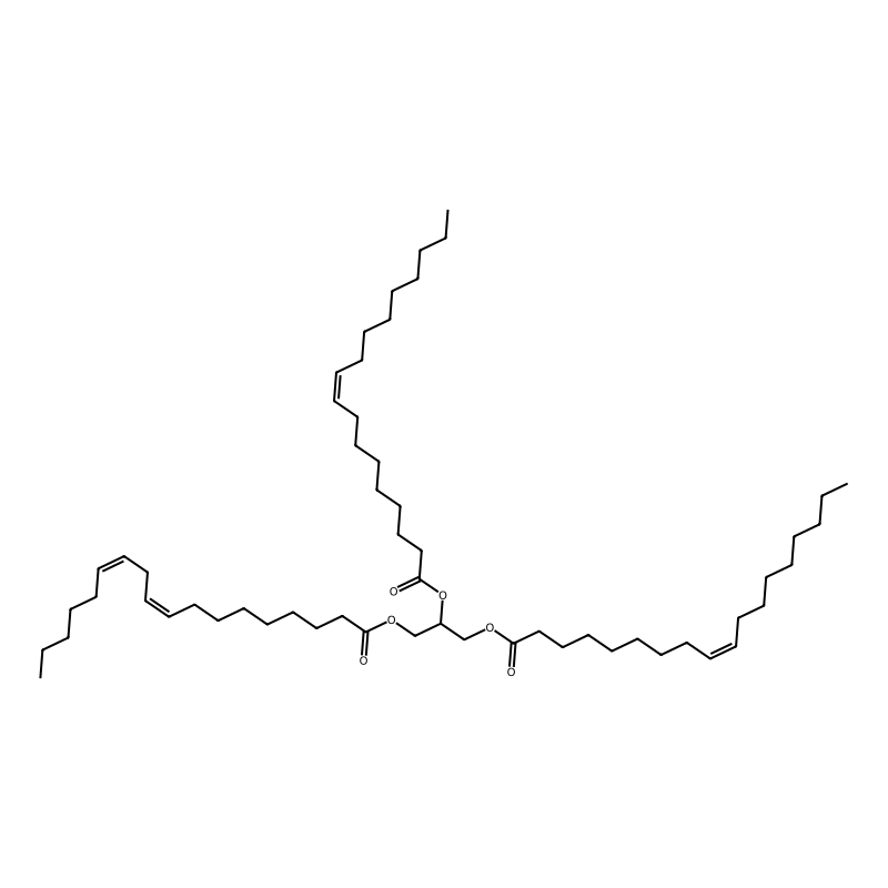 1,2-Dioleoyl-3-linoleoyl-rac-glycerol