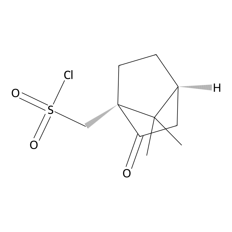 ((1R,4S)-7,7-Dimethyl-2-oxobicyclo[2.2.1]heptan-1-yl)methanesulfonyl chloride