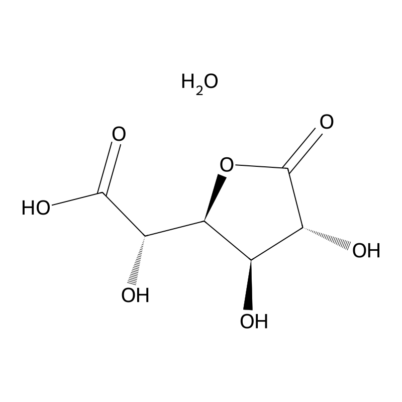 D-Saccharic acid 1,4-lactone monohydrate