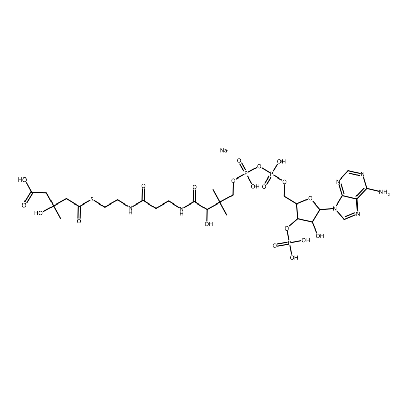 DL-3-Hydroxy-3-methylglutaryl coenzyme A sodium salt