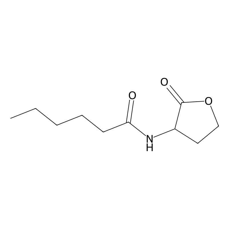 N-Hexanoyl-DL-homoserine lactone