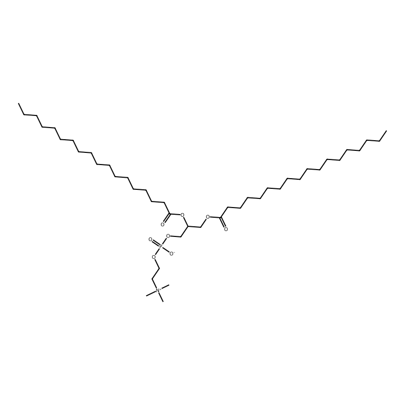 1,2-Distearoyllecithin