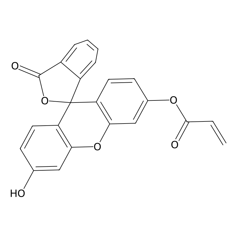 Fluorescein o-acrylate