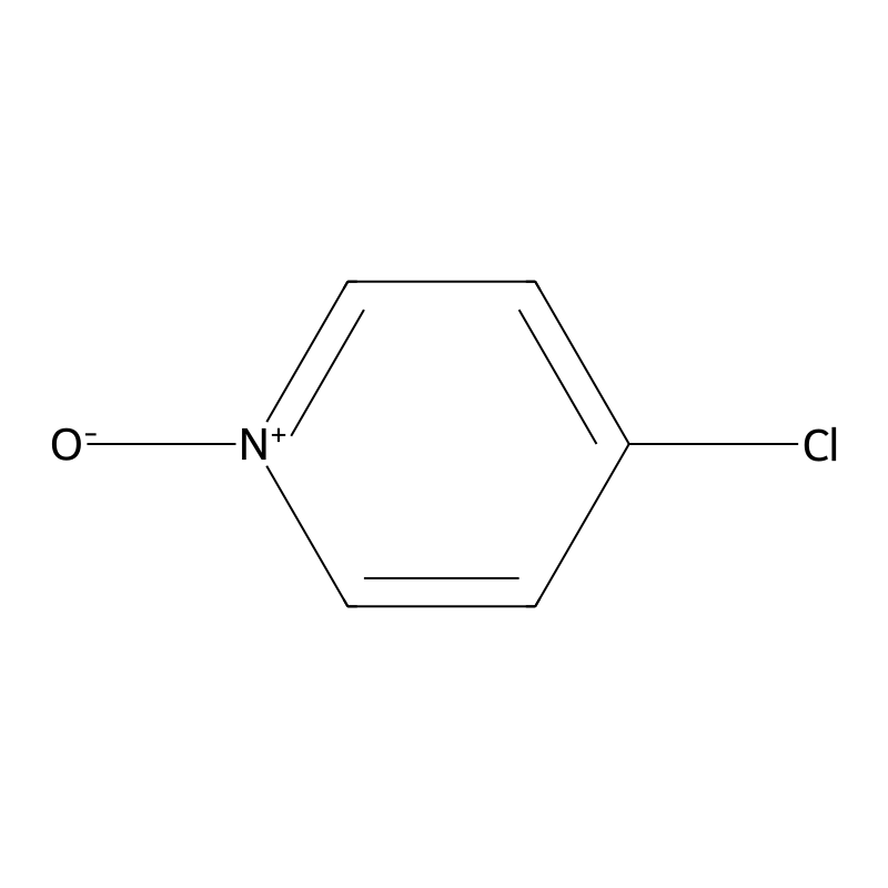 4-Chloropyridine N-oxide