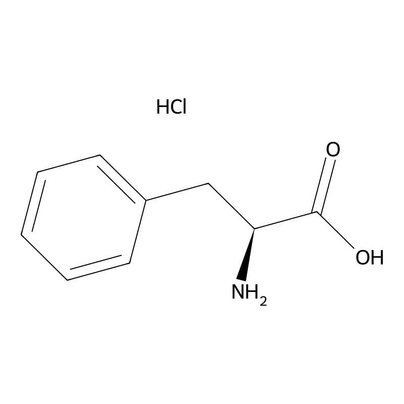 L-Phenylalanine hydrochloride