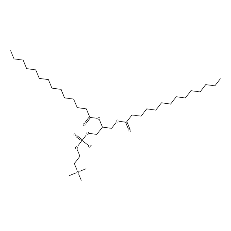 1,2-DIMYRISTOYL-RAC-GLYCERO-3-PHOSPHOCHOLINE