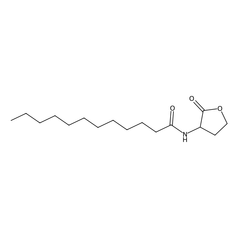 N-Dodecanoyl-DL-homoserine lactone