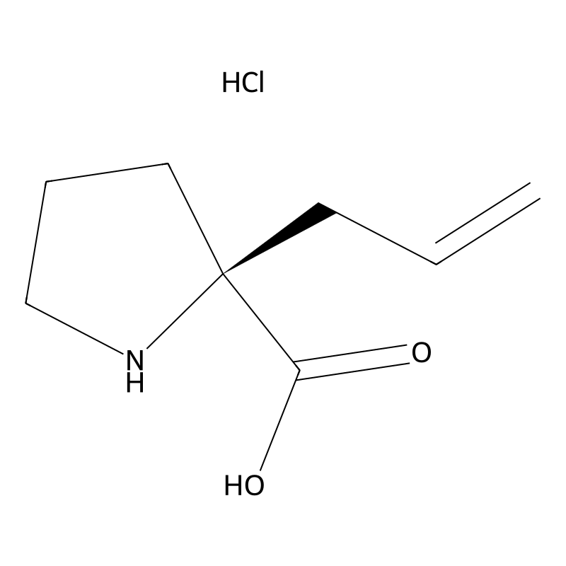 (S)-alpha-Allyl-proline hydrochloride