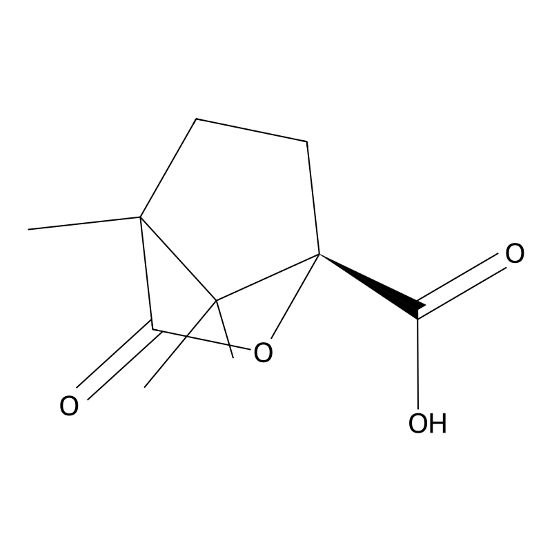 (1S)-(-)-Camphanic acid