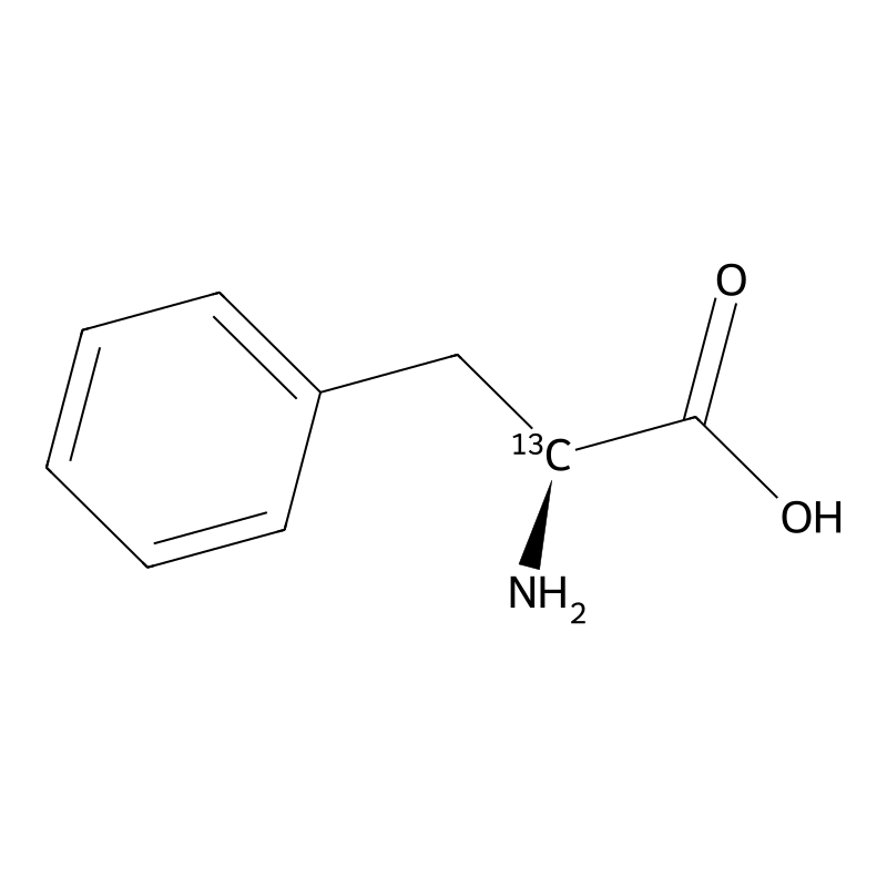 L-Phenylalanine (2-13C)