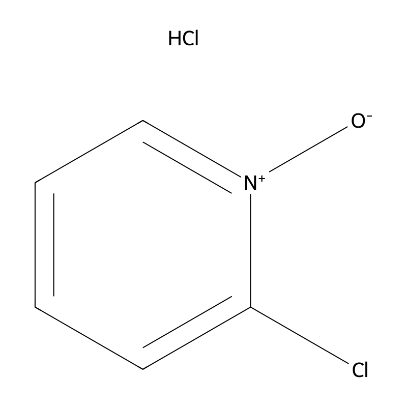 2-Chloropyridine N-oxide hydrochloride