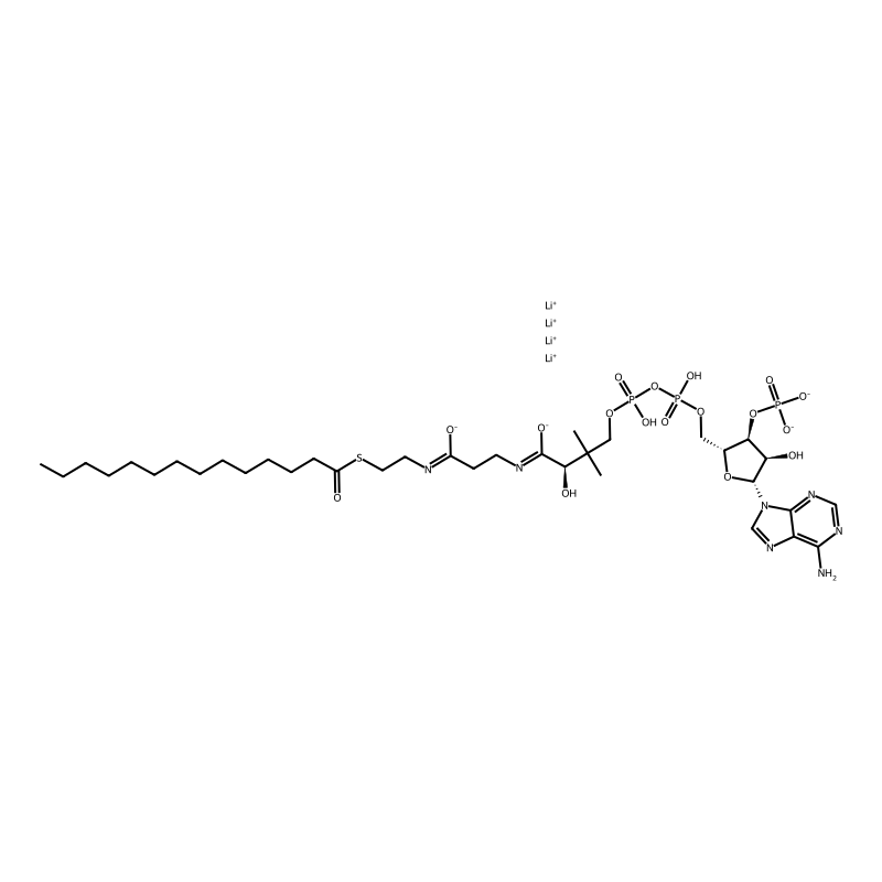 tetralithium;[(2R,3S,4R,5R)-5-(6-aminopurin-9-yl)-4-hydroxy-2-[[[[(3R)-3-hydroxy-2,2-dimethyl-4-oxo-4-[[3-oxo-3-(2-tetradecanoylsulfanylethylamino)propyl]amino]butoxy]-oxidophosphoryl]oxy-oxidophosphoryl]oxymethyl]oxolan-3-yl] phosphate