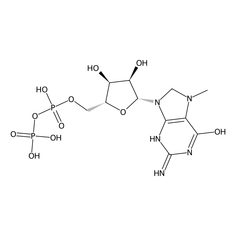 7n-Methyl-8-hydroguanosine-5'-diphosphate