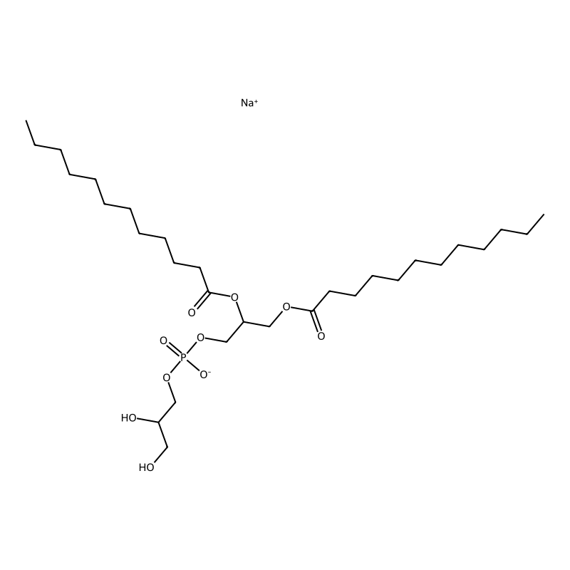 1,2-Dilauroyl-sn-glycero-3-phosphorylglycerol