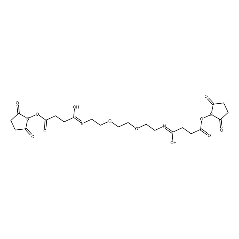 (2,5-dioxopyrrolidin-1-yl) 4-[2-[2-[2-[[4-(2,5-dioxopyrrolidin-1-yl)oxy-4-oxobutanoyl]amino]ethoxy]ethoxy]ethylamino]-4-oxobutanoate