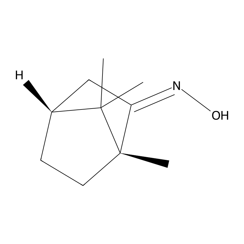 (1R)-Camphor oxime