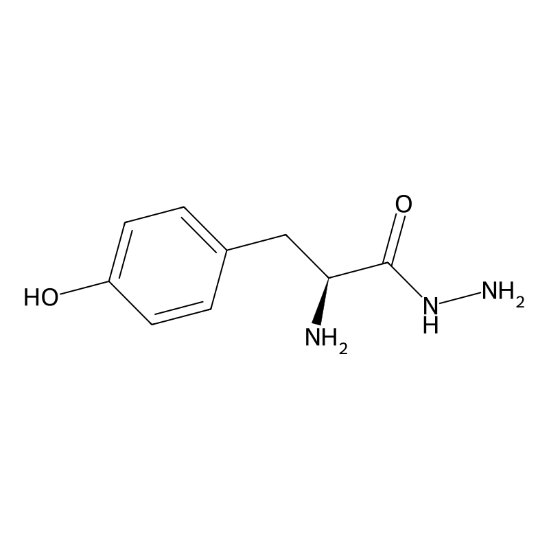 L-Tyrosine hydrazide