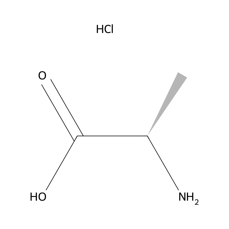 L-Alanine hydrochloride