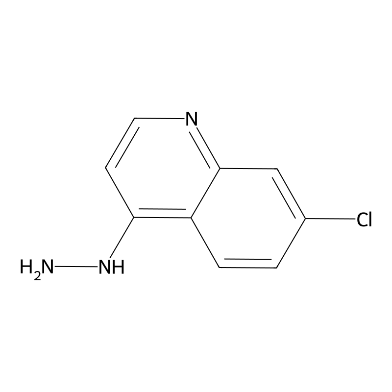 7-Chloro-4-hydrazinoquinoline