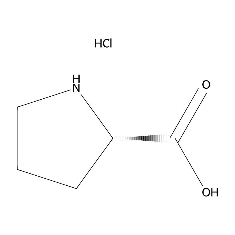 L-Proline hydrochloride