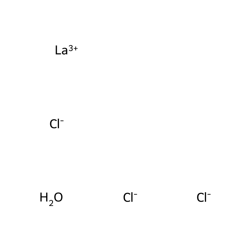 Lanthanum(3+);trichloride;hydrate