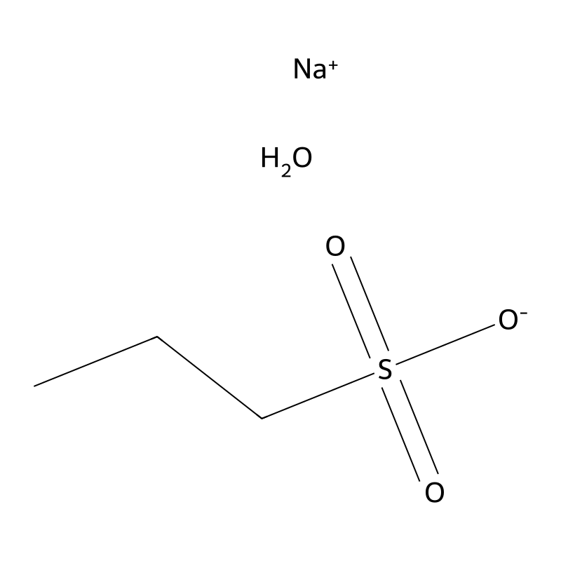 Sodium Propane-1-sulfonate Hydrate