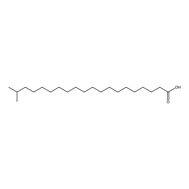 19-Methyleicosanoic acid