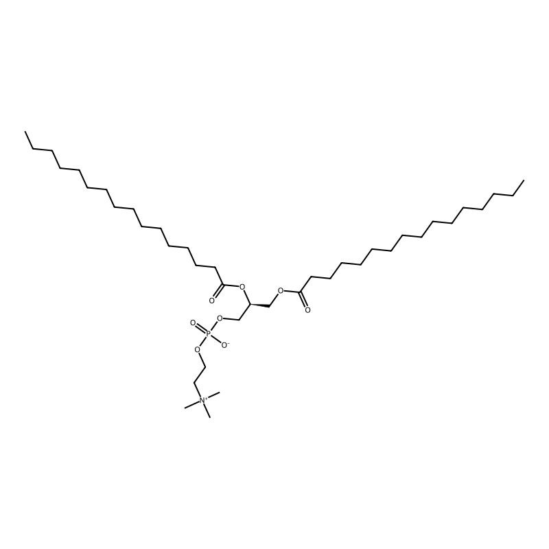 2,3-Dipalmitoyl-sn-glycero-1-phosphocholine