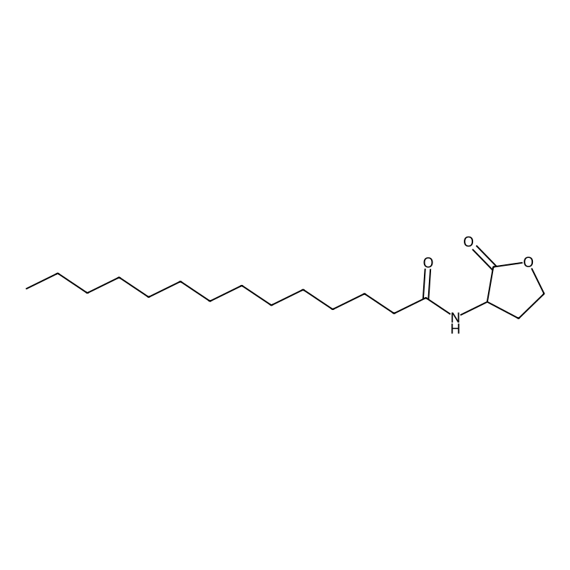 N-(2-oxooxolan-3-yl)tetradecanamide