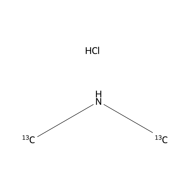 Dimethylamine-13C2 hydrochloride