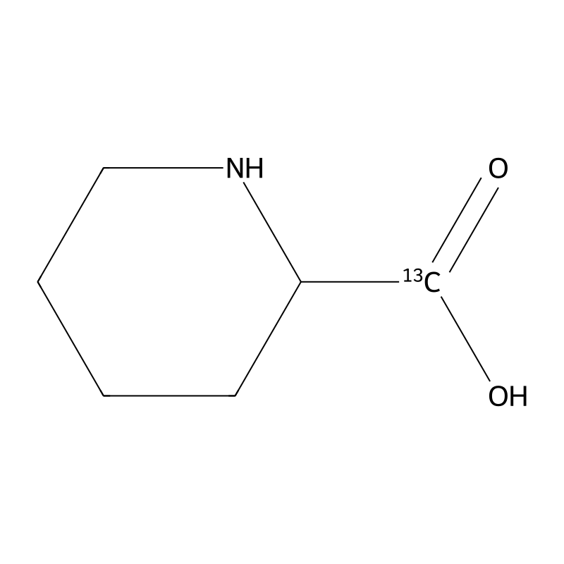 piperidine-2-carboxylic acid