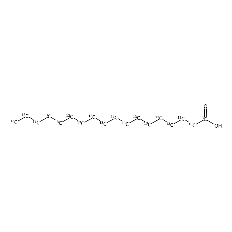 (1,2,3,4,5,6,7,8,9,10,11,12,13,14,15,16,17,18-13C18)octadecanoic acid