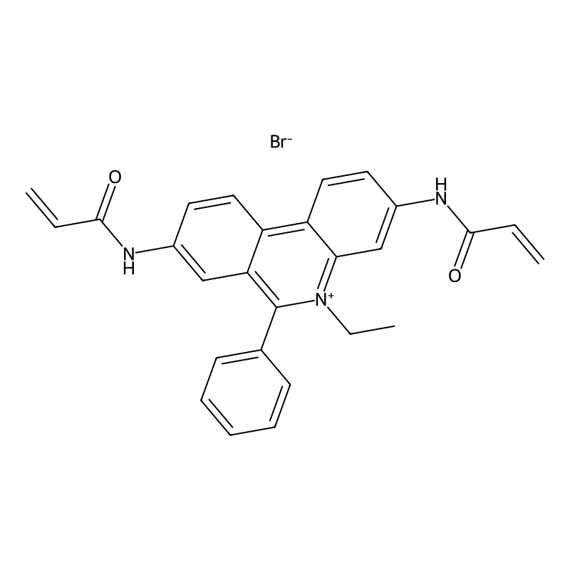 3,8-Bis(acryloylamino)-5-ethyl-6-phenylphenanthridin-5-ium bromide