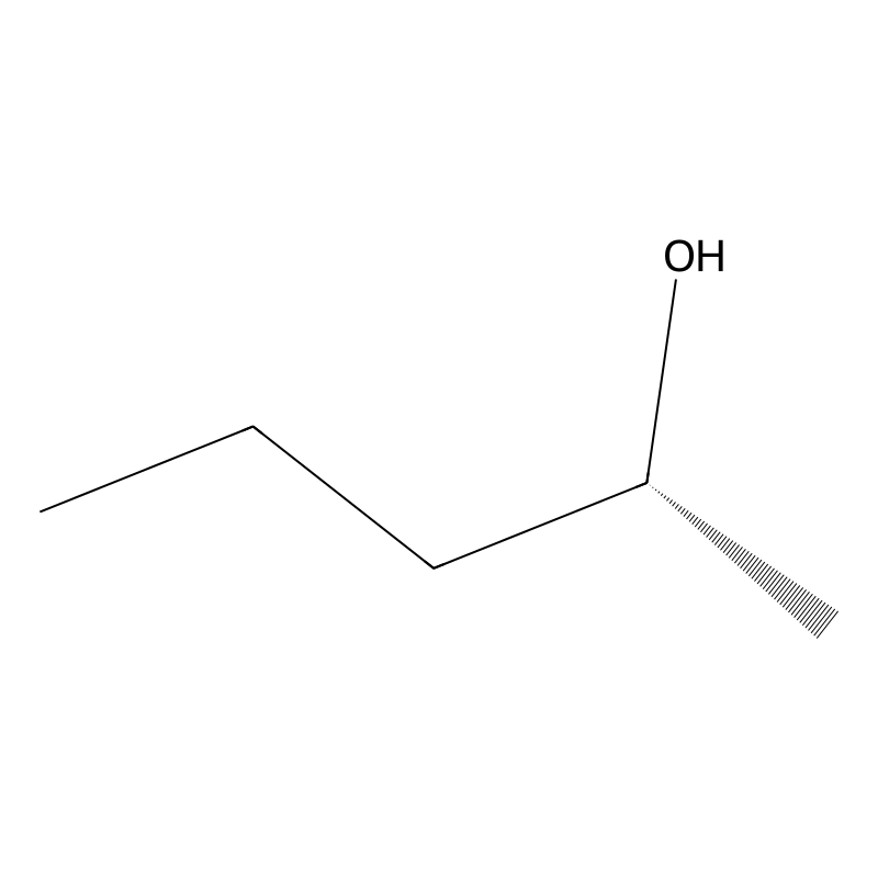 (R)-(-)-2-Pentanol