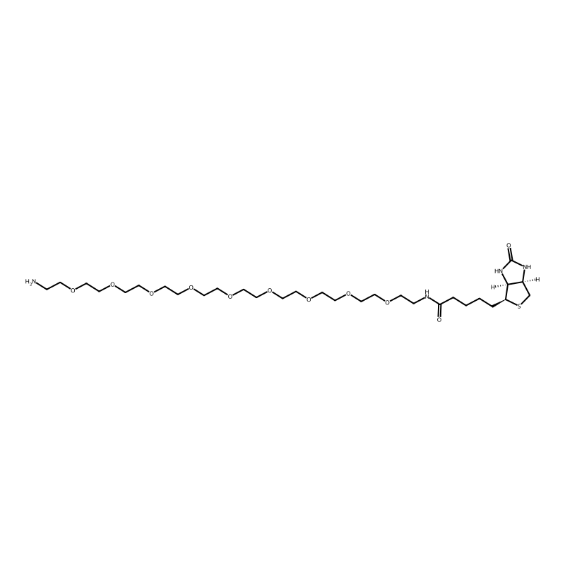 Biotin-PEG9-amine