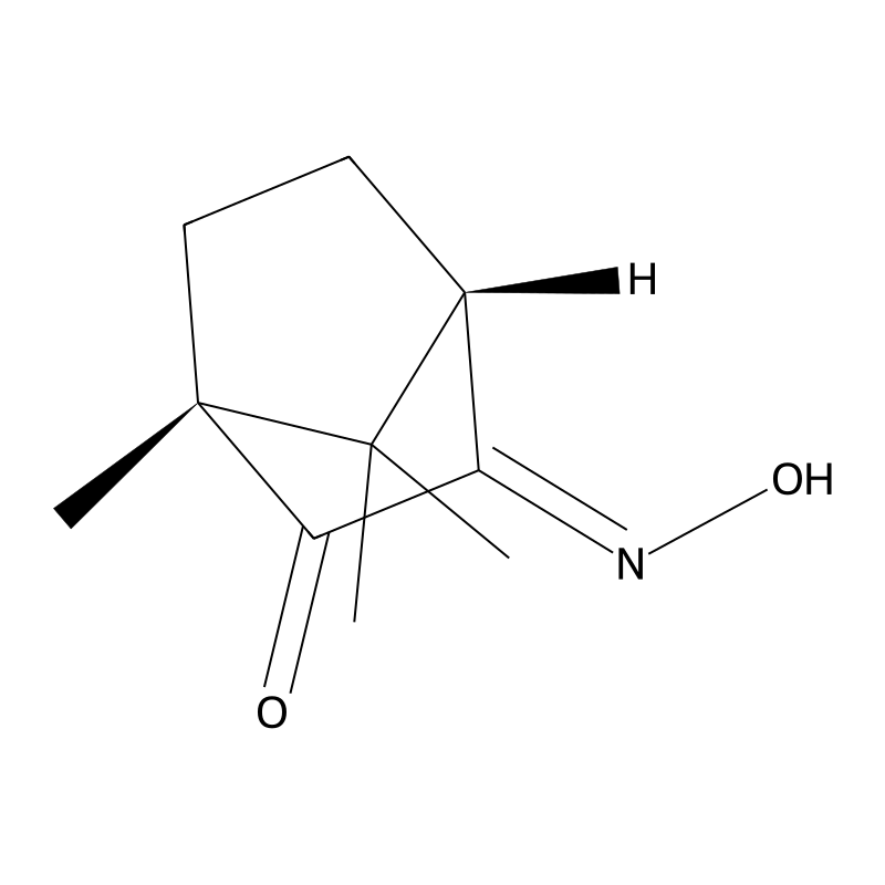 (1R,4S,E)-3-(Hydroxyimino)-1,7,7-trimethylbicyclo[2.2.1]heptan-2-one