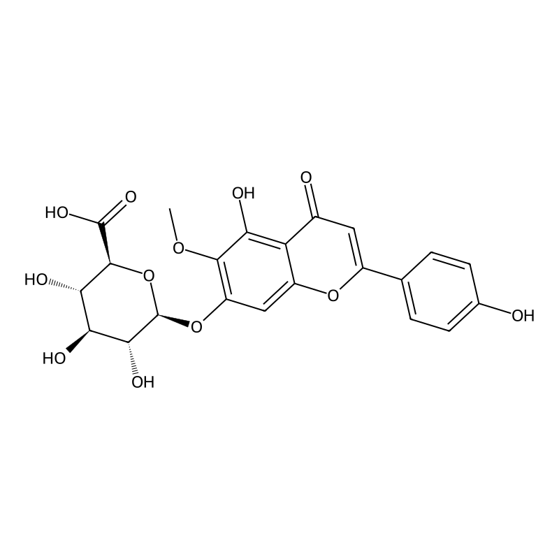 Hispidulin 7-glucuronide