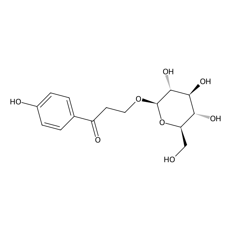 1-(4-hydroxyphenyl)-3-[(2R,3R,4S,5S,6R)-3,4,5-trihydroxy-6-(hydroxymethyl)oxan-2-yl]oxypropan-1-one