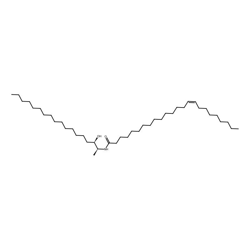 N-(15Z-tetracosenoyl)-1-deoxysphinganine