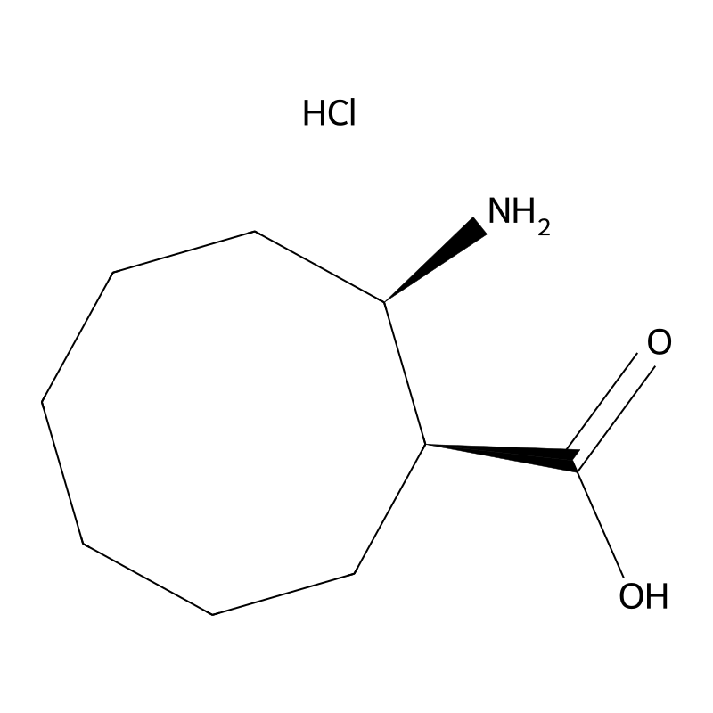 (1S,2R)-2-Amino-cyclooctanecarboxylic acid hydrochloride