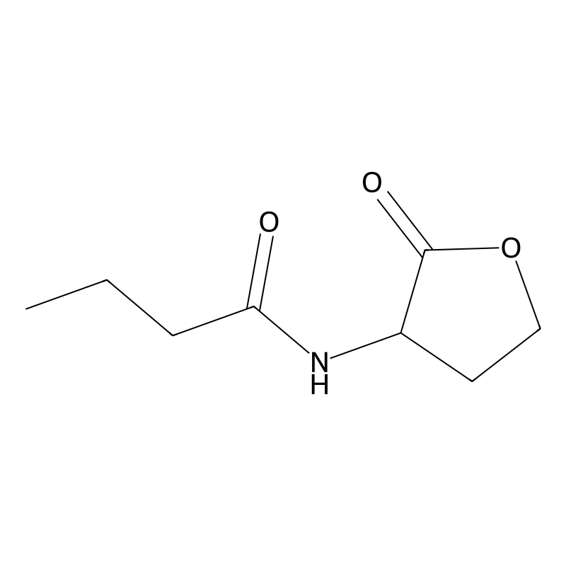 N-Butanoyl-DL-homoserine lactone