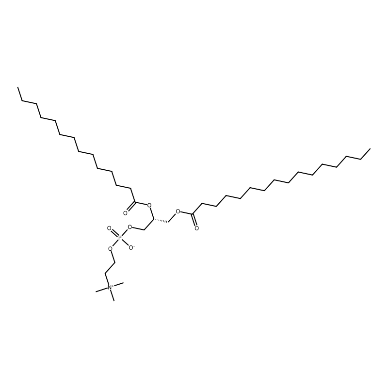 1-Palmitoyl-2-myristoyl-sn-glycero-3-phosphocholine