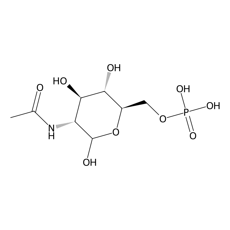 N-Acetyl-D-glucosamine 6-phosphate