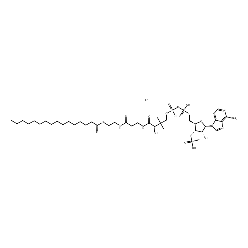 n-Hexadecanoyl coenzyme a lithium salt