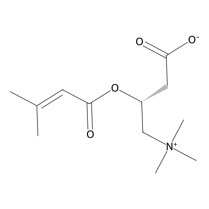 3-Methylcrotonyl-L-carnitine