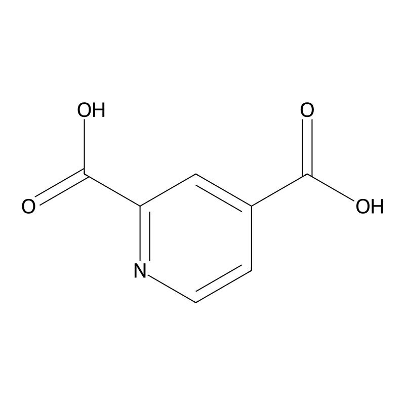 Pyridine-2,4-dicarboxylic acid