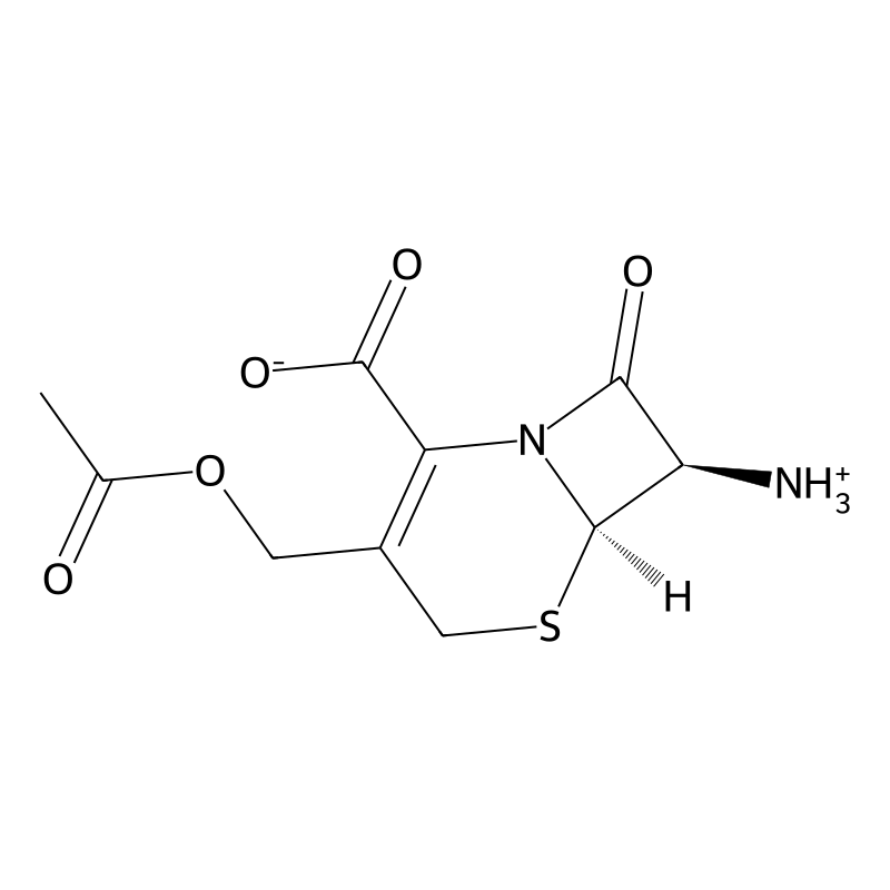 7-Aminocephalosporanic acid