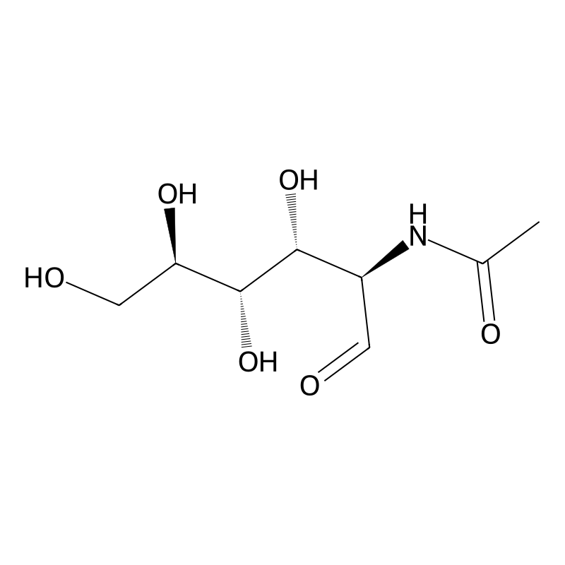 N-Acetylglucosamine