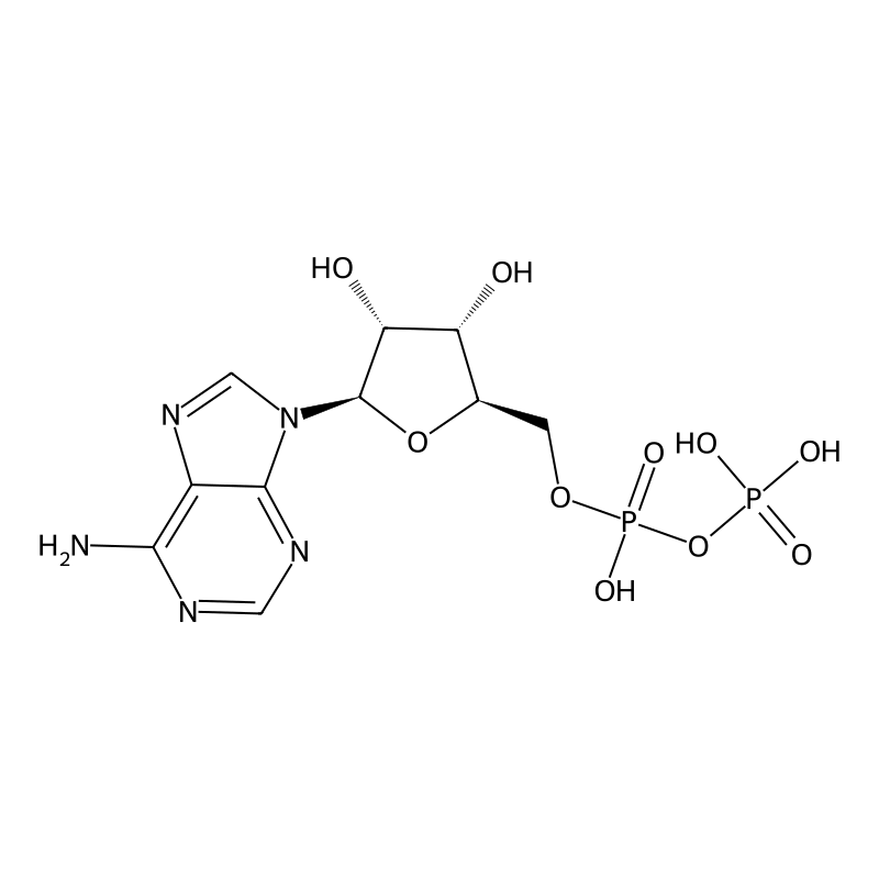 Adenosine 5'-diphosphate